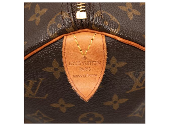 Louis Vuitton Brown Monogram Speedy 25 Marrone - vista 5