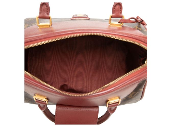 Louis Vuitton Brown Monogram Golden Arrow Speedy 30 Marrone - vista 4