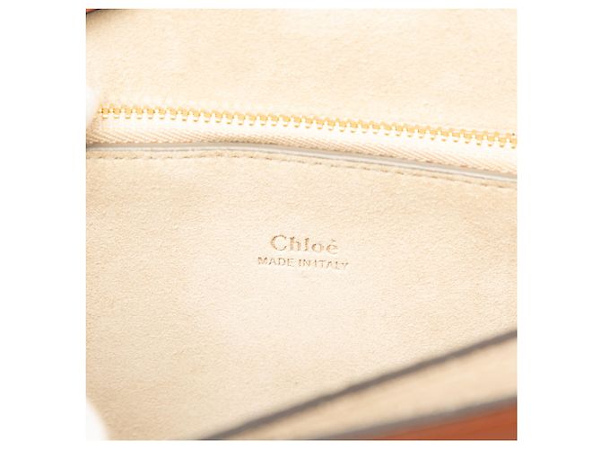 Chloé Faye Crossbody in vitello e camoscio marrone Medium - vista 5