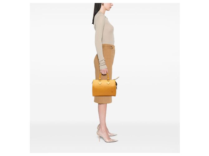 Louis Vuitton Yellow Epi Speedy 25 Giallo - vista 6