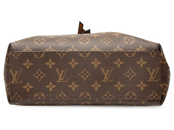 Louis Vuitton Brown Monogram Tuileries Besace Braun - Ansicht 3