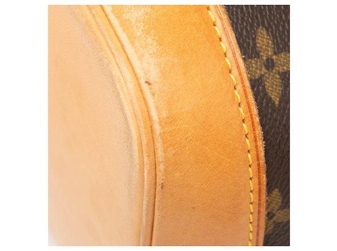 Louis Vuitton Brown Monogram Alma PM Marrone - vista 6