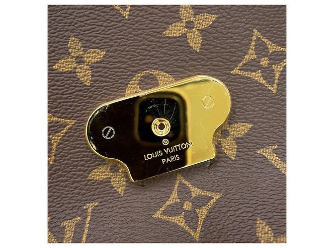 Louis Vuitton Brown Monogram Saint Placide - vista 11
