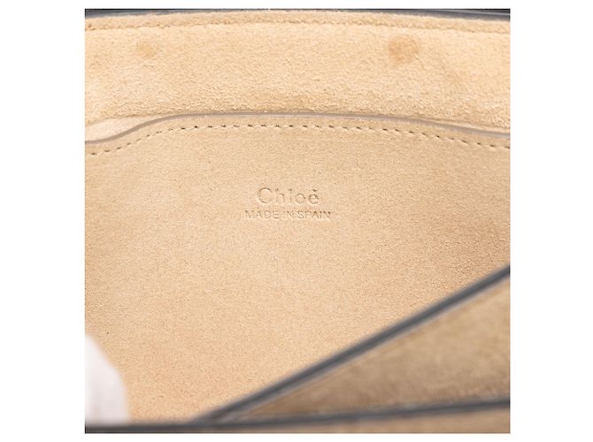 Chloé Faye Crossbody Small in camoscio e vitello nero - vista 5
