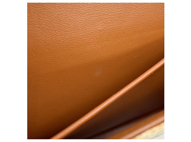 Céline Borsa a tracolla Celine Triomphe Claude Marrone Bianco - vista 15