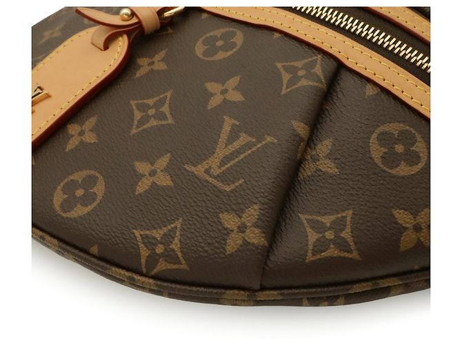Sac à épaule Louis Vuitton Monogram Marron Monogramme - vue 4