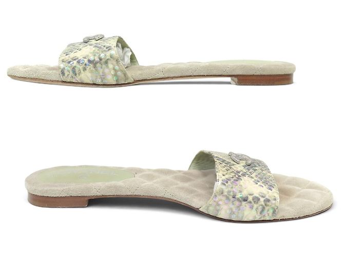 SCARPE SANDALI CHANEL G29732 MULES LOGO CC 40.5 EFFETTO PITONE Verde - vista 2