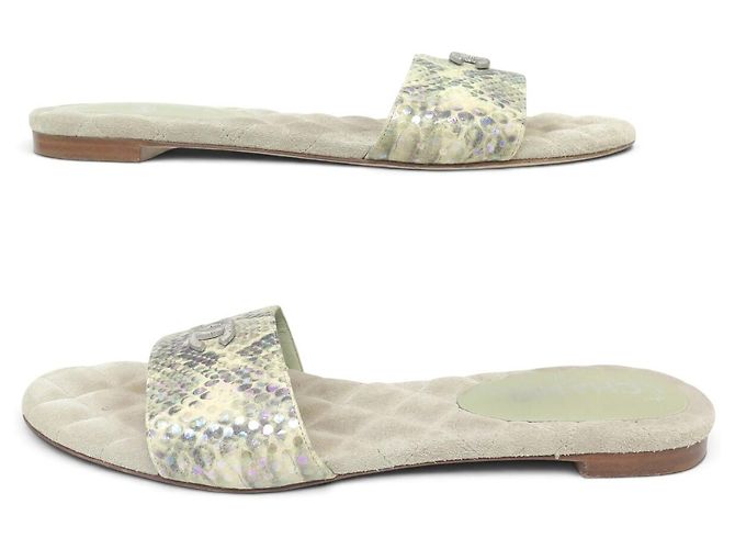 SCARPE SANDALI CHANEL G29732 MULES LOGO CC 40.5 EFFETTO PITONE Verde - vista 3