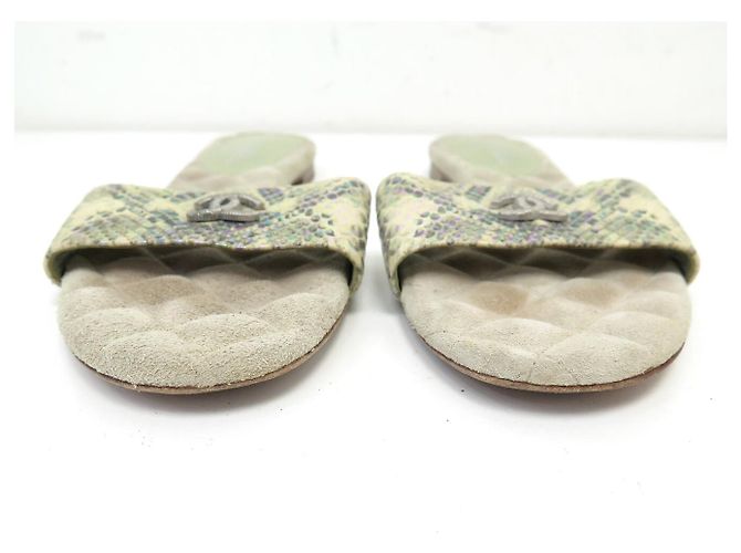 SCARPE SANDALI CHANEL G29732 MULES LOGO CC 40.5 EFFETTO PITONE Verde - vista 4