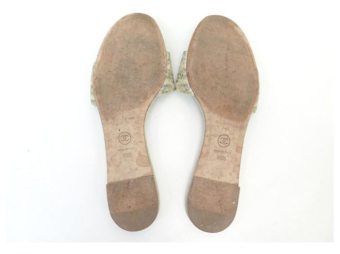 SCARPE SANDALI CHANEL G29732 MULES LOGO CC 40.5 EFFETTO PITONE Verde - vista 8