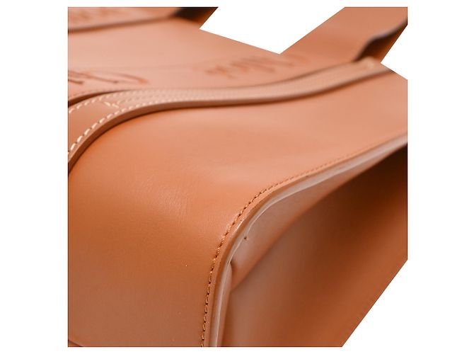 Borsa Tote Chloé Medium Woody in pelle di vitello marrone Rosso - vista 14