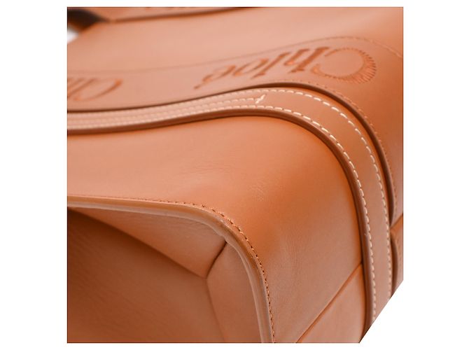 Borsa Tote Chloé Medium Woody in pelle di vitello marrone Rosso - vista 15