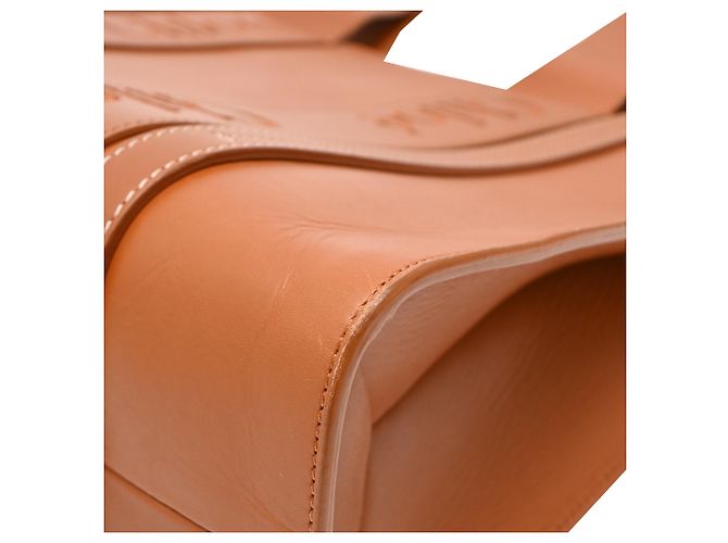 Borsa Tote Chloé Medium Woody in pelle di vitello marrone Rosso - vista 16