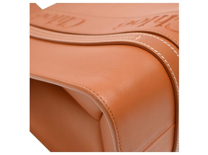 Borsa Tote Chloé Medium Woody in pelle di vitello marrone Rosso - vista 18