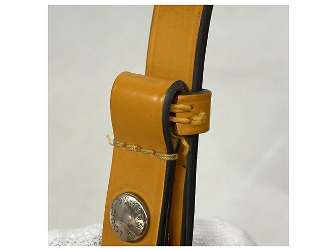 Néonoé Borsa a tracolla Louis Vuitton Epi NeoNoe BB Blu D'oro - vista 6