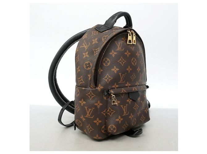 Louis Vuitton Monogram Palm Springs Rucksack PM Braun - Ansicht 2
