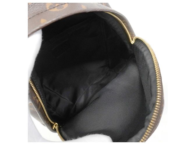 Louis Vuitton Monogram Palm Springs Rucksack PM Braun - Ansicht 4