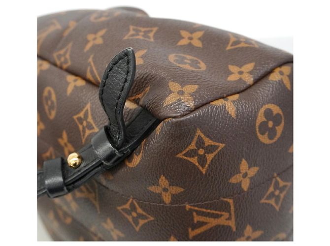Louis Vuitton Monogram Palm Springs Rucksack PM Braun - Ansicht 6