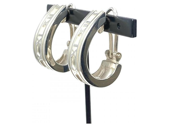 Autre Marque Orecchini a lobo Tiffany & Co. Silver 925 - vista 3