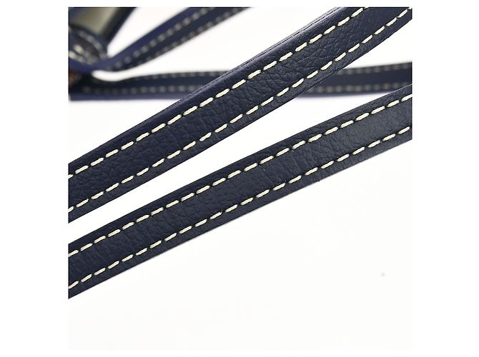 Goyard Saint Louis Coated Canvas PM Blu navy - vista 5