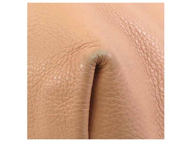 Borsa in pelle Tod's Pale Orange - vista 6