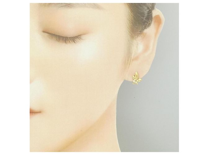 Autre Marque Pendientes Tiffany Olive Leaf - vista 4