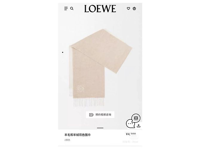 Sciarpa Loewe in cashmere bicolore tea latte e bianco crema Multicolore - vista 6