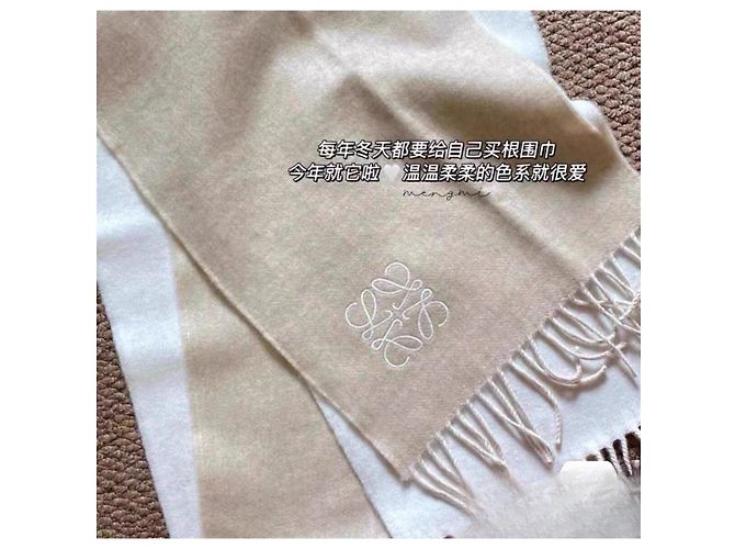 Sciarpa Loewe in cashmere bicolore tea latte e bianco crema Multicolore - vista 8
