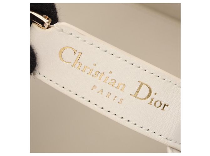 Borsa Christian Dior Dior Toujours Small Cannage Bianco - vista 4
