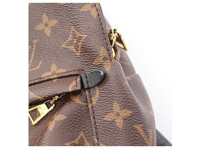 Mochila/Bolso Louis Vuitton Palm Springs PM Monogram Castaño Negro - vista 11