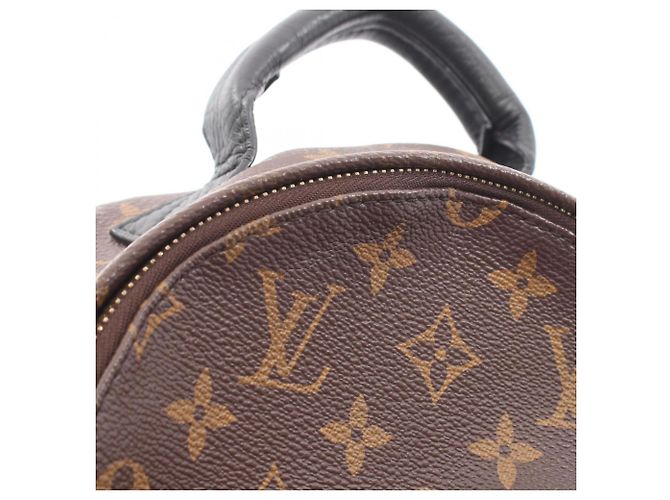 Mochila/Bolso Louis Vuitton Palm Springs PM Monogram Castaño Negro - vista 13