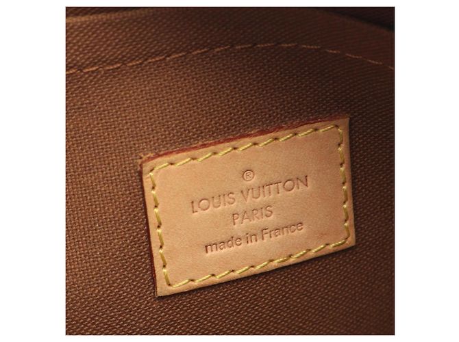 Borsa a tracolla Louis Vuitton Thames PM Monogram Marrone - vista 4