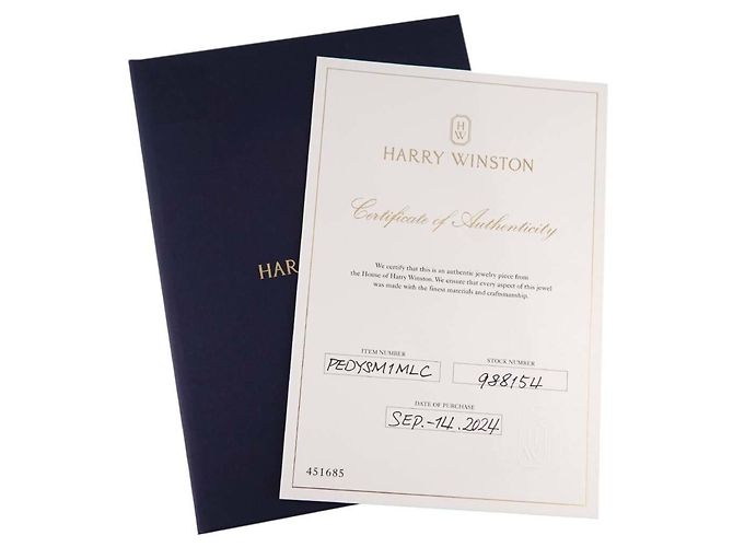 Collana Mini Lily Cluster in Diamanti Harry Winston - vista 9