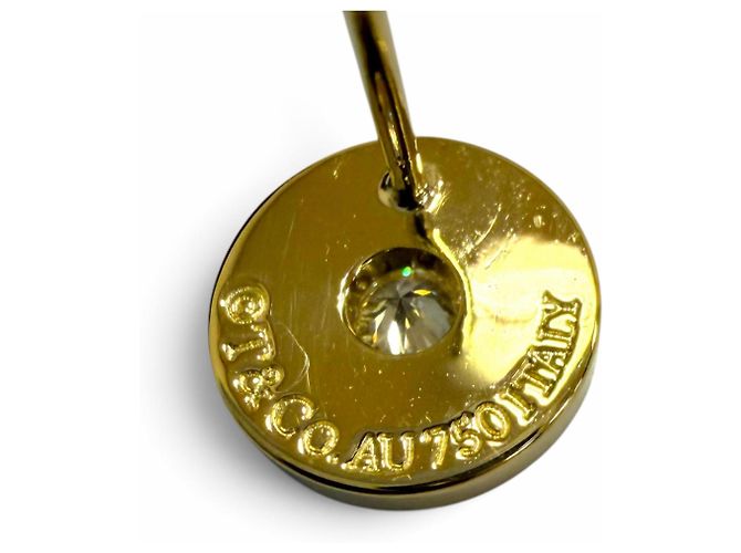 Autre Marque Orecchini a lobo Tiffany & Co. 1837 Circle D'oro - vista 7