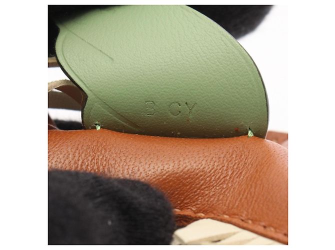 Hermès Hermes Rodeo Pegasus PM Handbag Charm Marrone D'oro Verde Crudo - vista 4