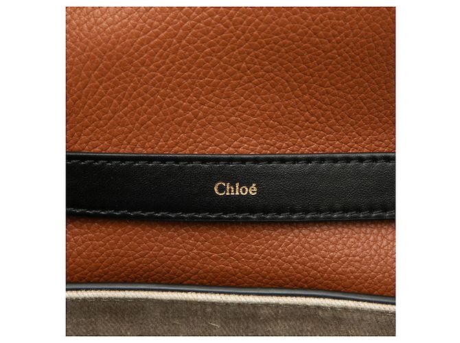 Bolso de mano/Bolso de hombro Chloé Penelope Negro - vista 5