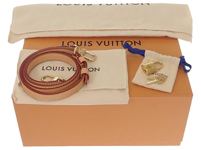 Louis Vuitton Brown Monogram Dune Speedy Bandouliere 20 Marrone Beige - vista 11