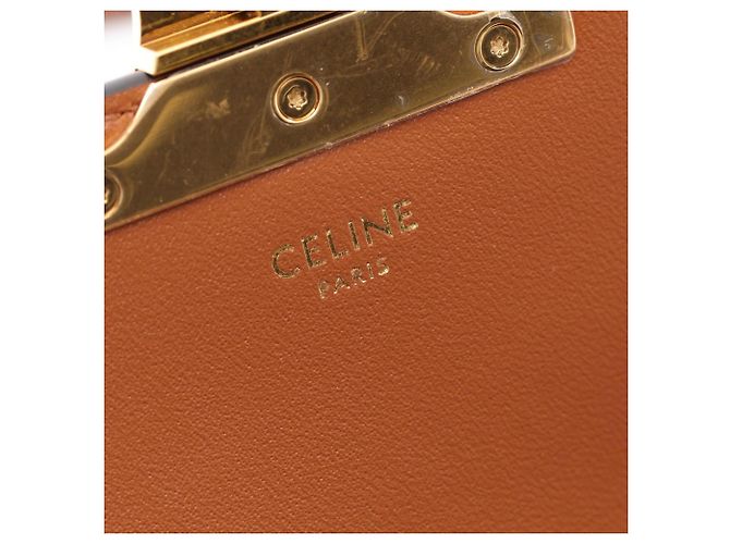 Céline Borsa a spalla Celine Triomphe Laura Medium Marrone Nero - vista 4