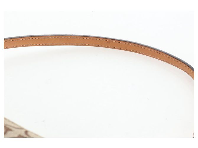Borsa Coach Signature Canvas Beige Silver Auth ar14259A Argento - vista 14