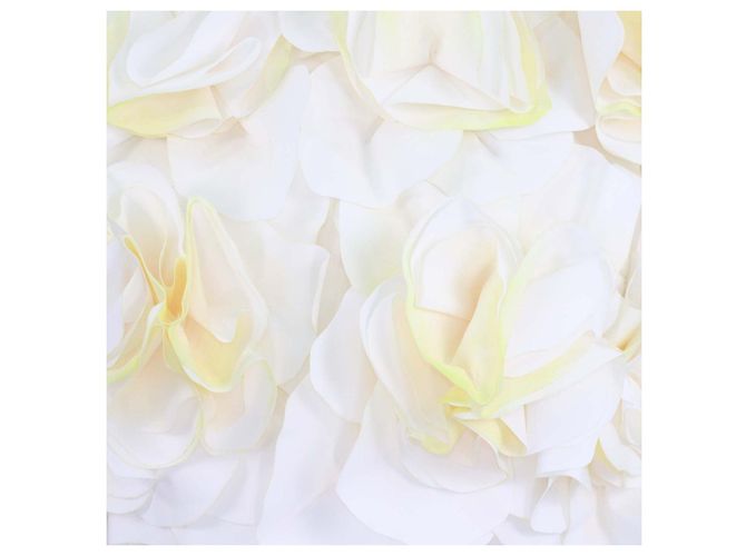 Autre Marque Acler Jackhill Top Weiß/Gelb mit 3D-Blumenapplikationen Roh - Ansicht 4