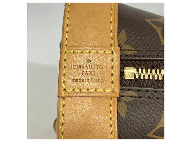 Sac à main Louis Vuitton Alma BB Monogram Marron - vue 5