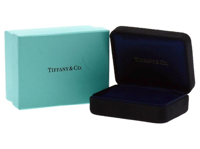 Autre Marque Orecchini a lobo in diamanti Tiffany & Co. By the Yard - vista 5