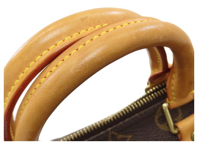 Speedy Borsa Boston Monogram Louis Vuitton Monogramma - vista 19