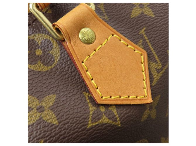 Borsa Boston Louis Vuitton Speedy 30 Monogramma - vista 10