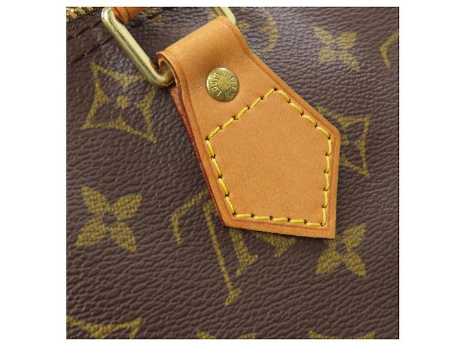 Borsa Boston Louis Vuitton Speedy 30 Monogramma - vista 11