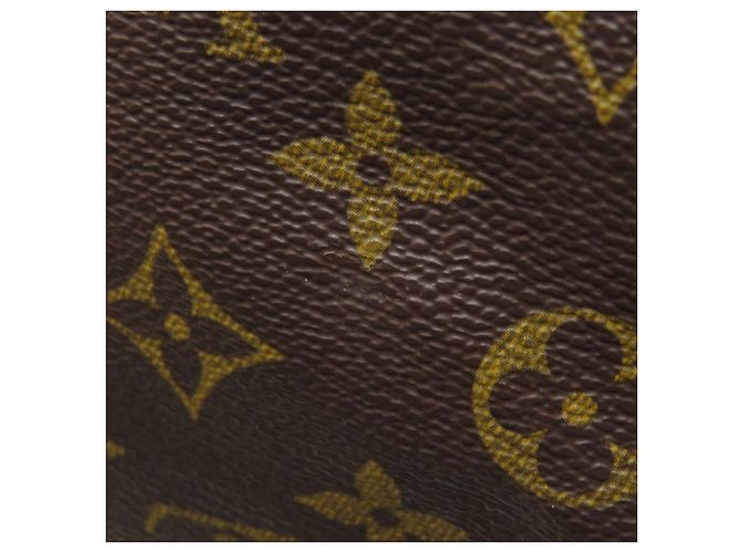 Borsa Boston Louis Vuitton Speedy 30 Monogramma - vista 12
