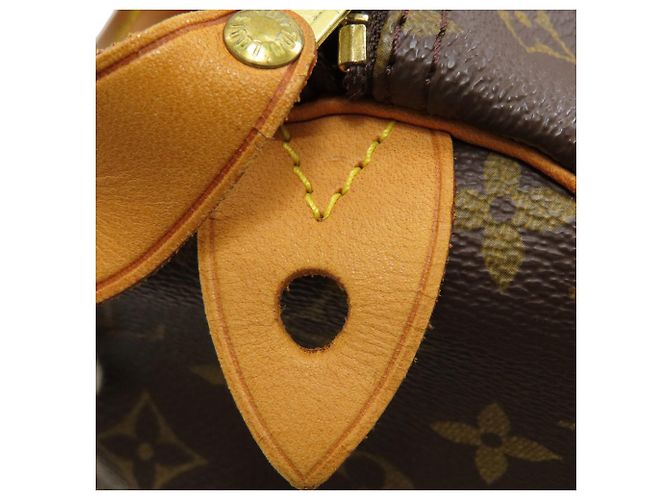 Borsa Boston Louis Vuitton Speedy 30 Monogramma - vista 9