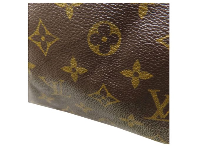 Speedy Borsa Boston Monogram Louis Vuitton Monogramma - vista 12
