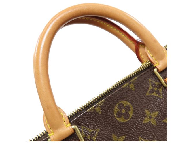 Speedy Borsa Boston Monogram Louis Vuitton Monogramma - vista 21