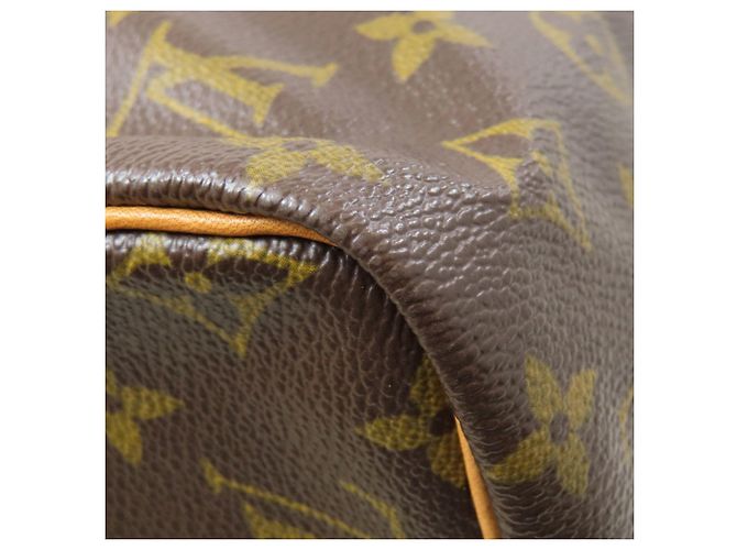 Speedy Borsa Boston Monogram Louis Vuitton Monogramma - vista 22